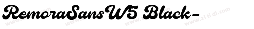 RemoraSansW5 Black字体转换